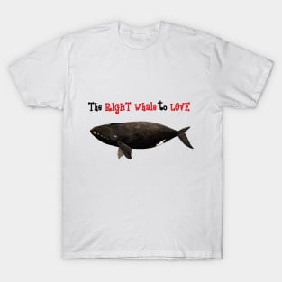 The right whale to love T-Shirt